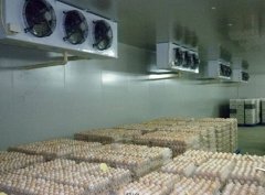 建一個冷庫,用來存50噸雞蛋要多少錢