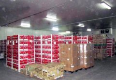 3000立方米水果保鮮庫需要投資多少錢?