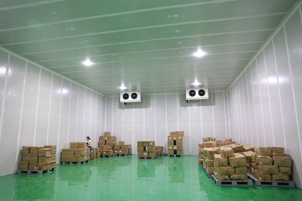 建800平米鮮玉米冷凍庫，-18℃冷凍庫造價多少