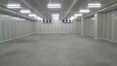 新建500噸香蕉水果氣調(diào)庫需要多少錢？