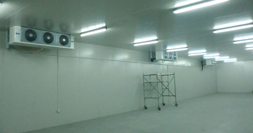 1500噸海鮮低溫冷庫(kù)設(shè)計(jì)規(guī)劃,冷庫(kù)價(jià)格多少錢 1500噸海鮮低溫冷庫(kù)設(shè)計(jì)規(guī)劃,冷庫(kù)價(jià)格多少錢