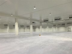 50000噸豬肉冷庫,冷庫總投資需要多少錢