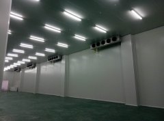 上海2-8℃體外診斷試劑冷庫(恒溫冷藏庫)建造成本多少