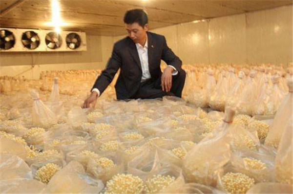 5000平方農(nóng)產(chǎn)品冷藏庫 5000平方農(nóng)產(chǎn)品冷藏庫