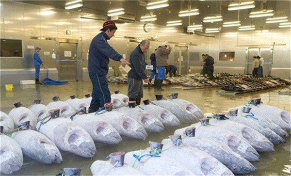 水產冷庫、三文魚生魚片冷庫 水產冷庫、三文魚生魚片冷庫