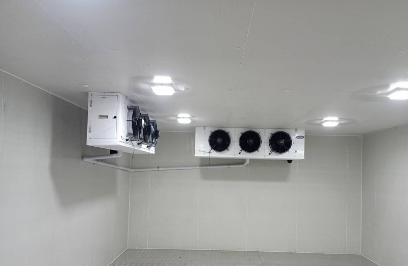 1619072728976907.jpg 1619072728976907.jpg