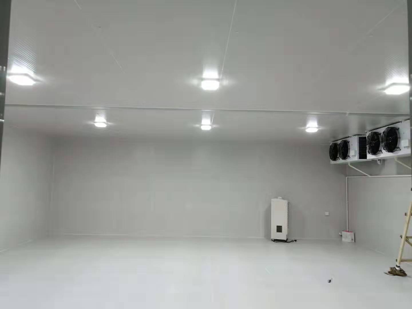 魚糜低溫冷凍庫 魚糜低溫冷凍庫