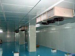 設計一個700噸冷凍庫造價多少錢?冷藏庫設備報價