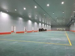 葡萄冷庫造價，葡萄放冷庫怎么存儲方法