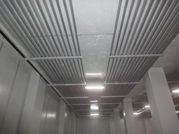 安裝一個300噸雞肉冷凍庫，雞排冷庫設備價格