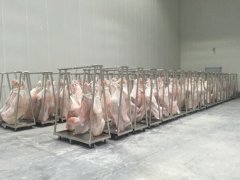 拼裝式冷庫建造工程造價,-18℃豬肉冷凍庫設備