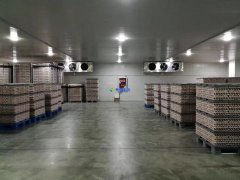 安裝1300噸水果冷藏庫預算是多少？后期用電能耗大嗎？